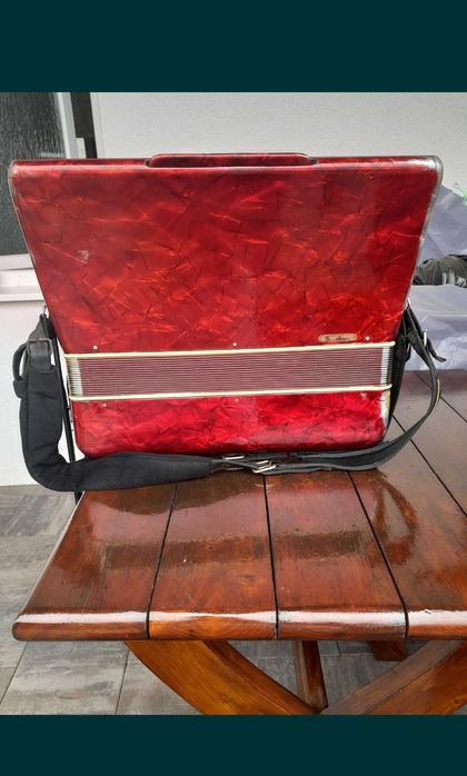 Acordeon Parrot 120
