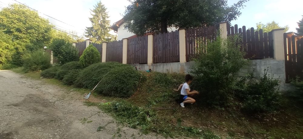 Поддръжка на дворове и къщи в полите на Витоша