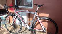 Vand Cursiera PINARELLO Full Carbon