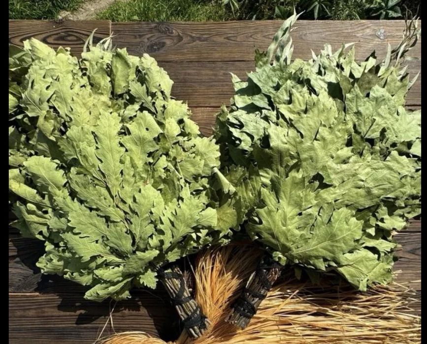 Дубовые веники банные