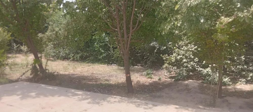 Ррррррррррррррррррр