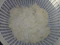 Продавам тибетска бяла млечна кефирена гъба за домашен кефир
