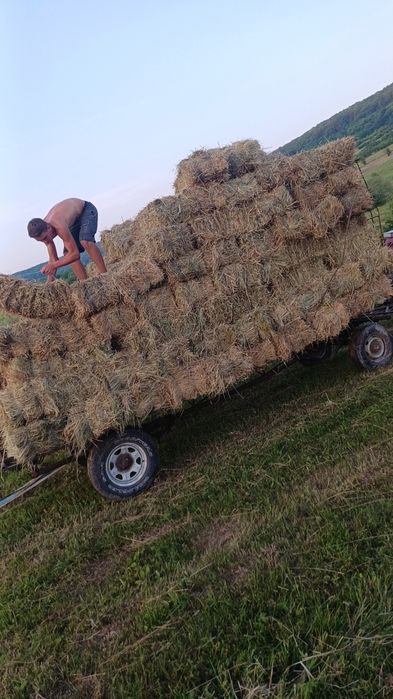 Vând baloti de fân asigur și transport