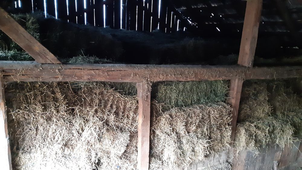 Vind baloti de otava