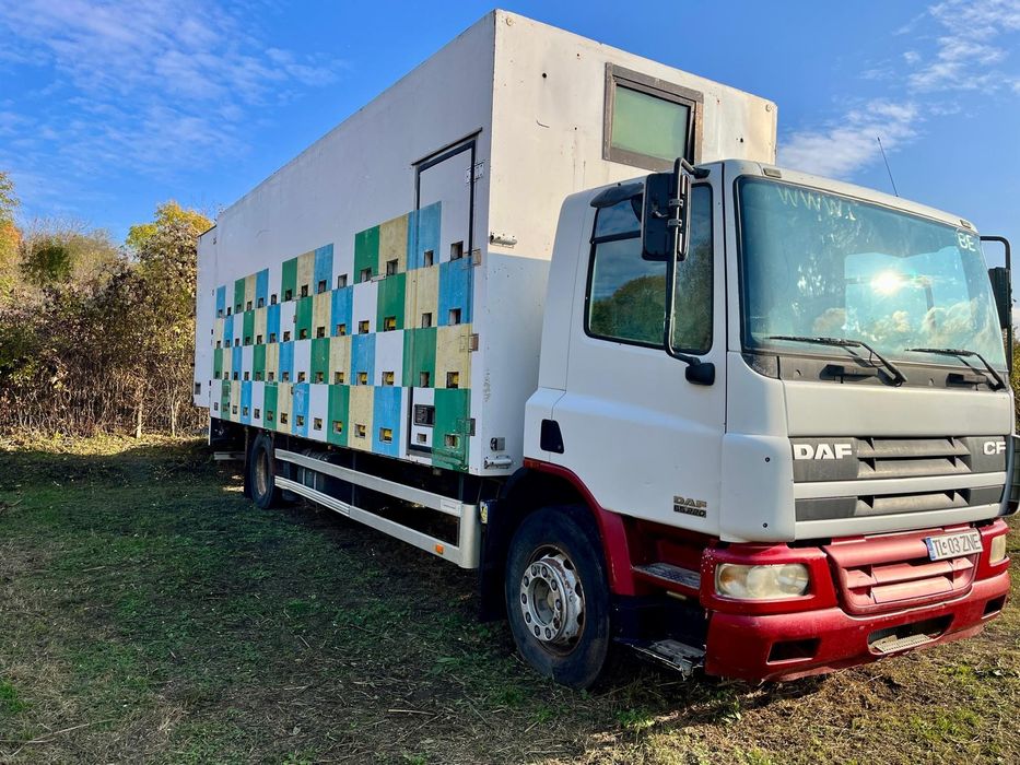 Pavilion apicol capacitate 84 de familii marca DAF