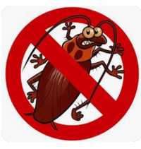 Пиретроидный инсектицид яд для травли тараканов и любых  насекомых