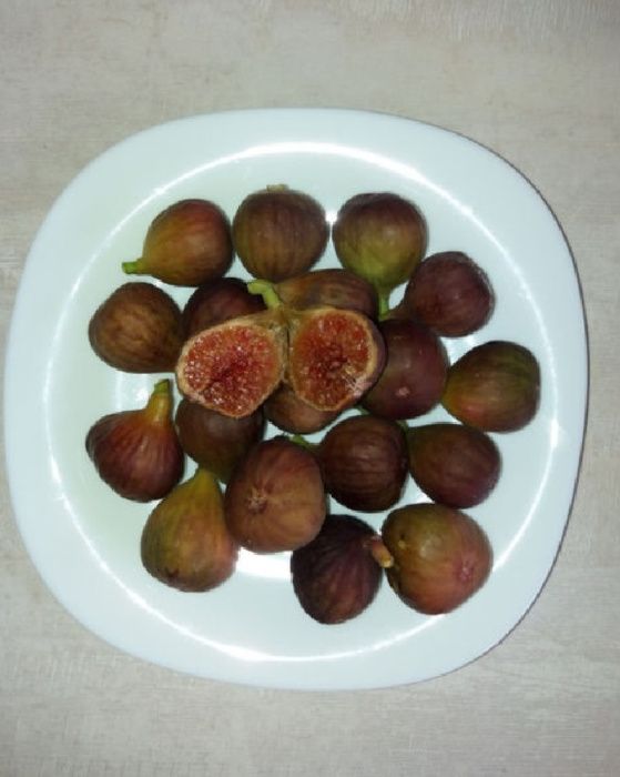 Smochin Românesc cu Fruct Maro Craiova