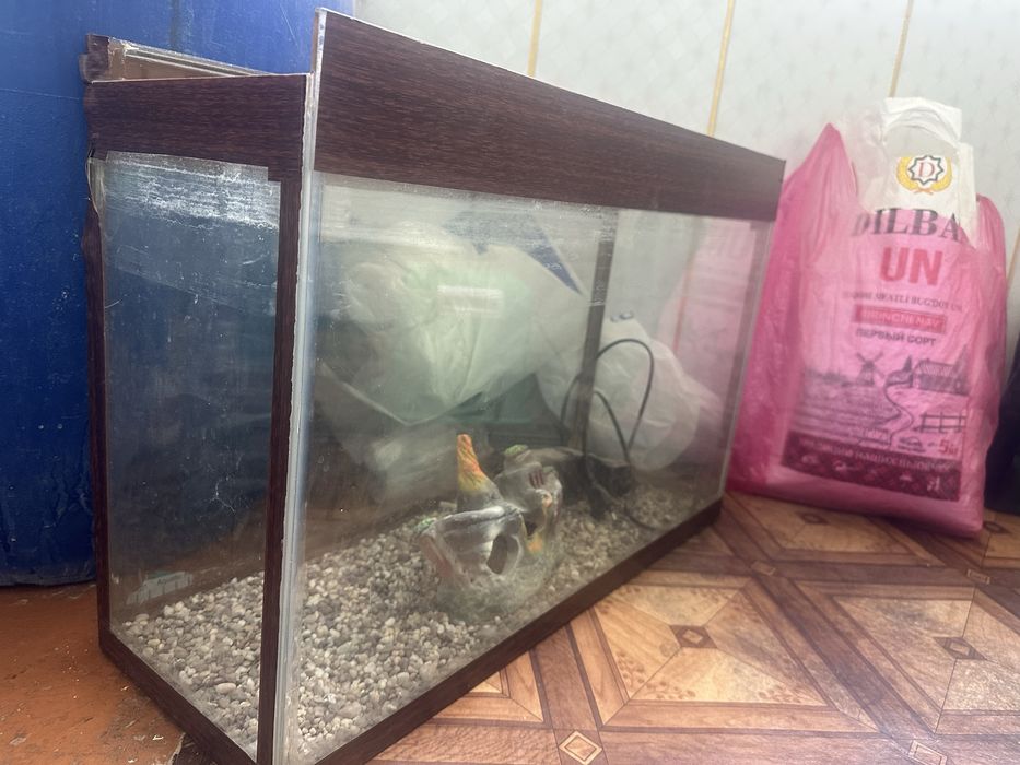 Аквариум хорошем состаяни