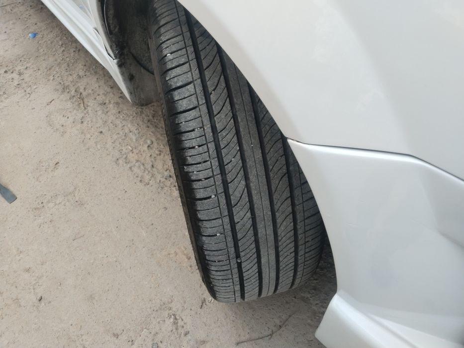 17 siska baloni bilan lasetiga