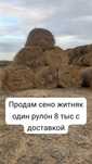 Чистый жетняк продаётся