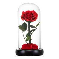 Trandafir Criogenat în Cupola de Sticla și blat de lemn