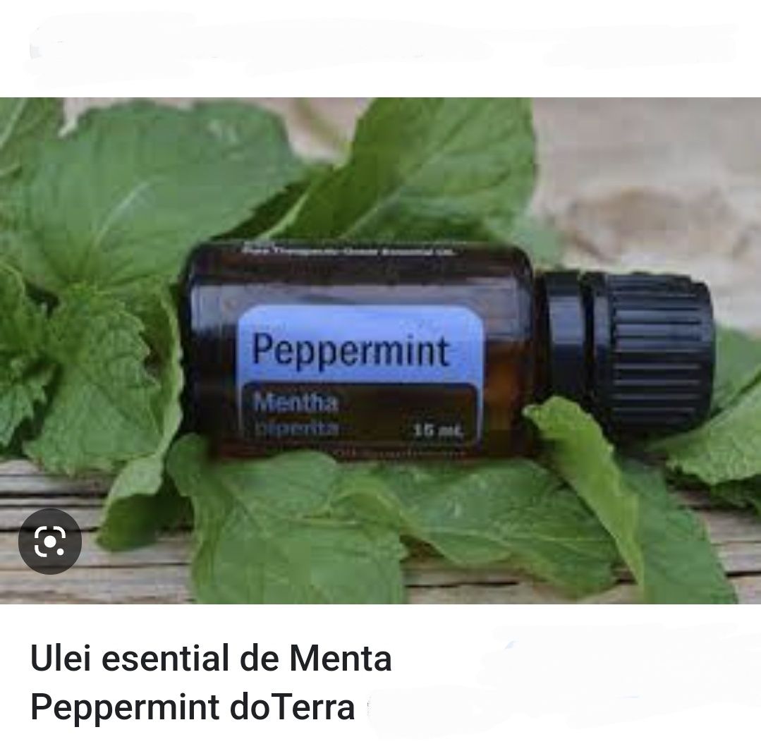 Peppermint ulei esențial mentă