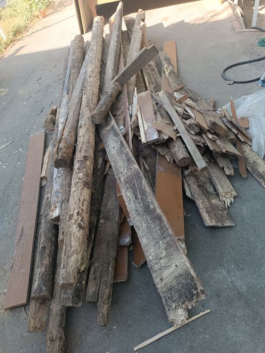 O'tin chirigan bolar laga shoxcha o'tinlar ham bor tuyga ham buladi