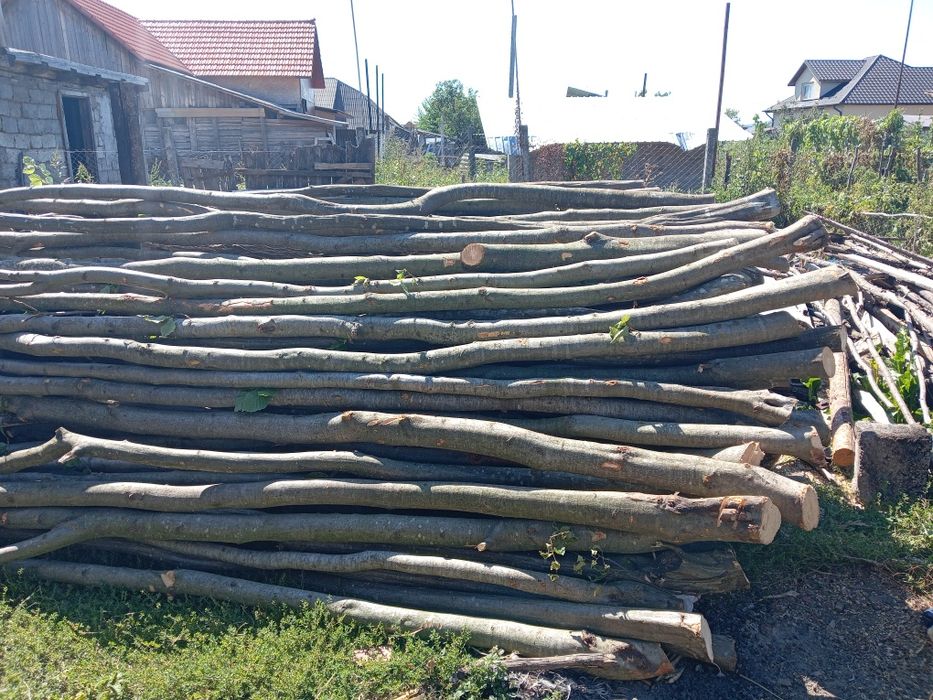Vând lemne de pașune 600 lei pe căruță