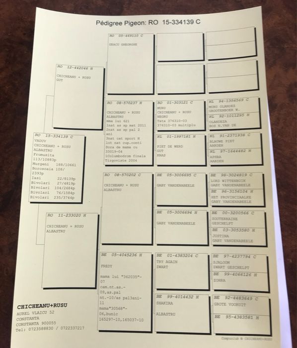 Porumbei voiajori cuibare ceramica si gratare