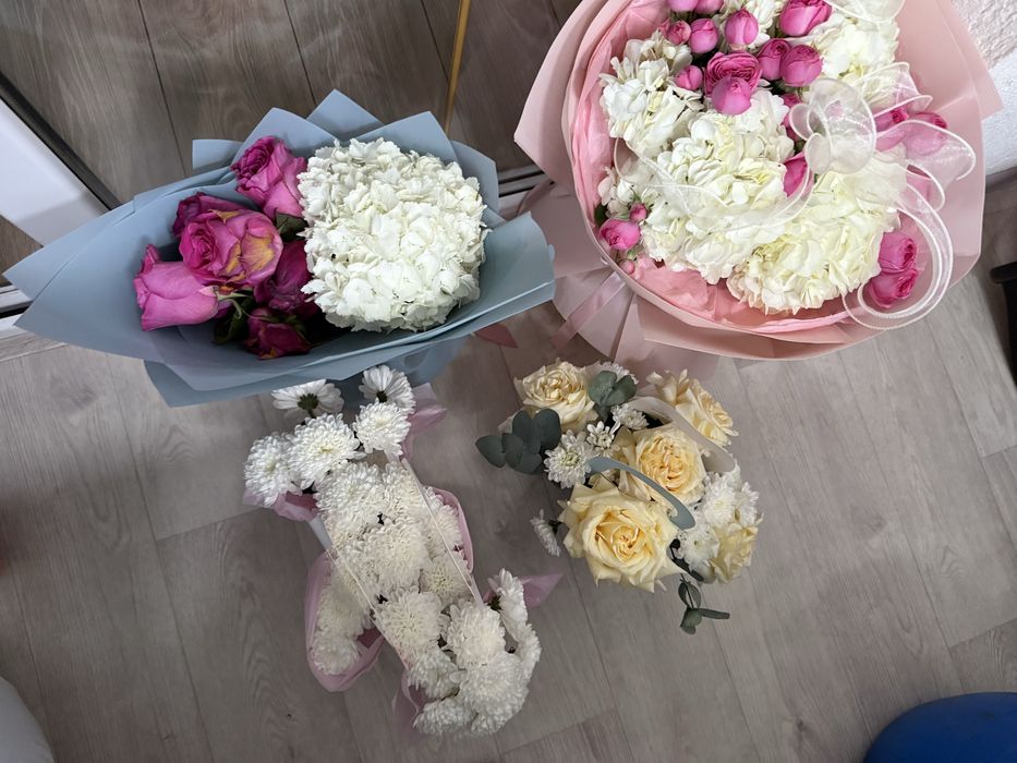 продам цветы свежие