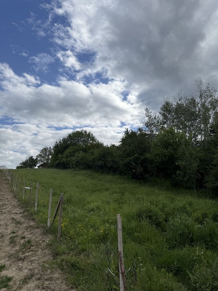 Teren Intravilan 8400 mp Budesti - Rm Valcea toate utilitatile 10€
