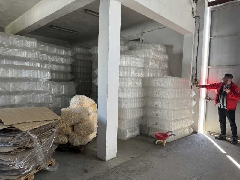 Продава се Промишлена сграда в с. Ресен, Област Велико Търново - 5726 кв.м за 197 €/кв.м - Снимка #6