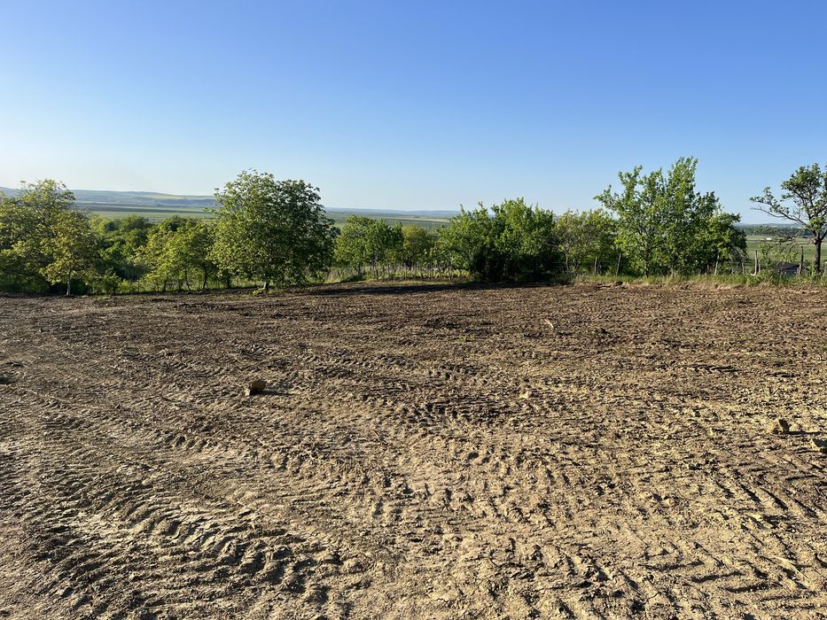 Teren intravilan Tomesti , sat .Chiperesti, com.Tutora