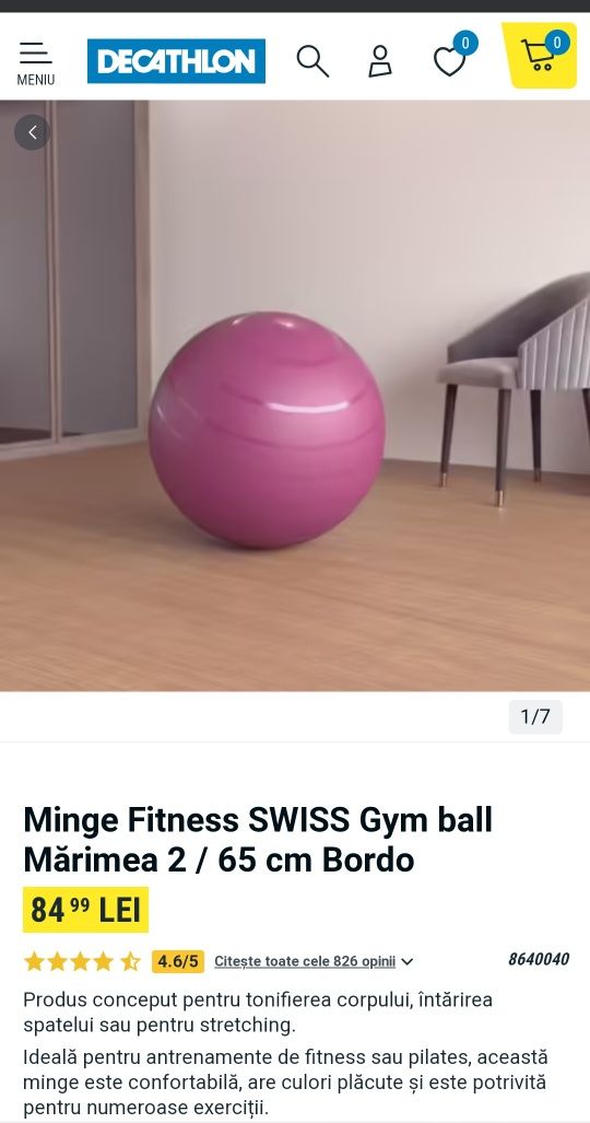 Minge Fitness SWISS, Gym ball, Decathlon