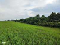 Teren Dealul Fânațelor/panorama