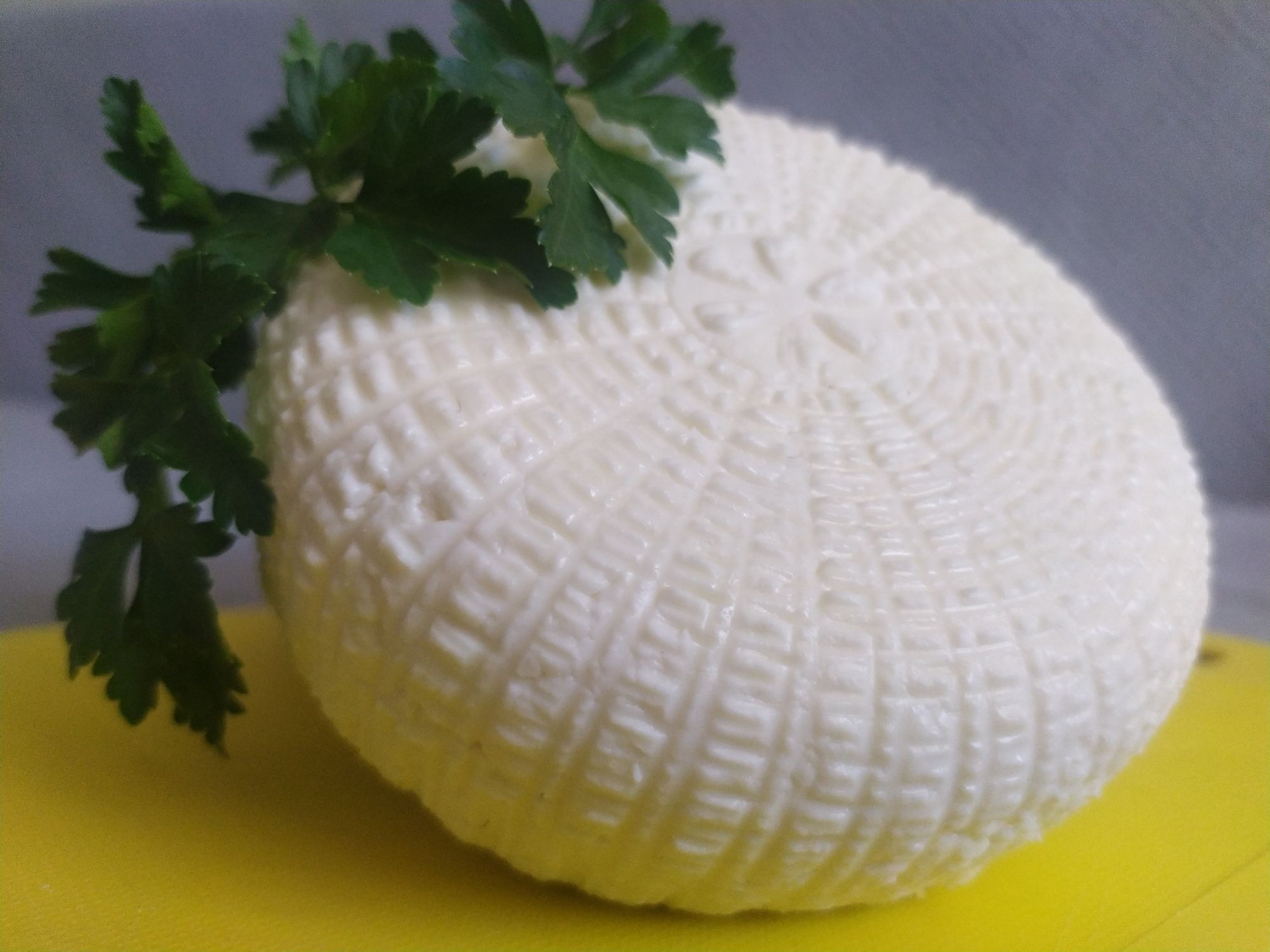 Даниско Мезо-термофильная закваска для  сыра. Пепсин Сычужный фермент