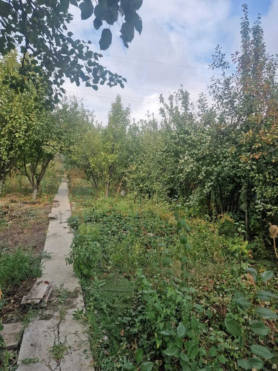 Продаю или обменяю дачу на Бугорках