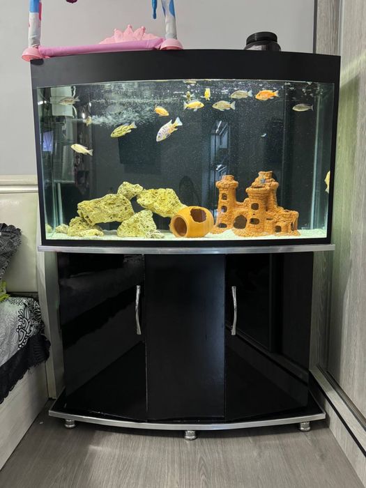 Продается аквариум с подставкой.