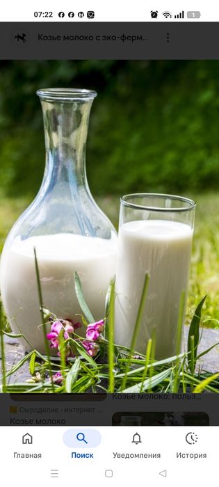 Козье молоко от породных коз