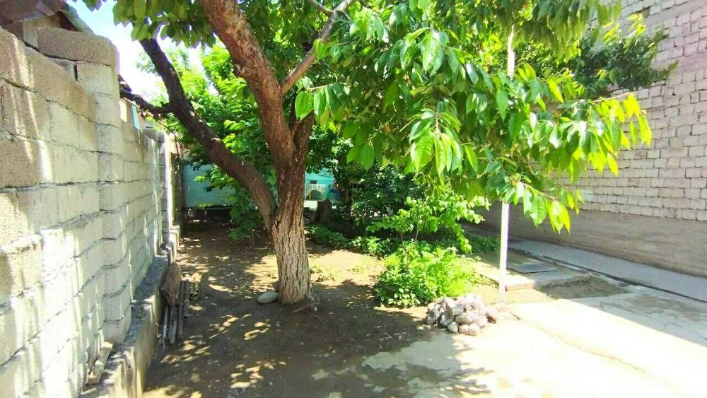 ХОВЛИ СОТИЛАДИ 4 хона 3.3 сотик  тайер уй! ЧИРЧИК ш Корасув куча