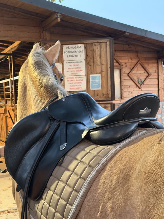 Sa echitatie calarie, Bates cai, obstacole