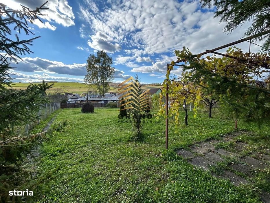 Teren De Vanzare | 10 Ari | Intravilan | Valea Sigmirului