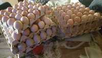 Ouă de găină , de la găini crescute la țară