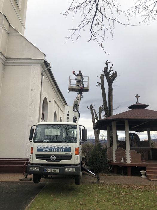 Toaletari arbori , taieri copaci periculosi , defriseri cu Nacela