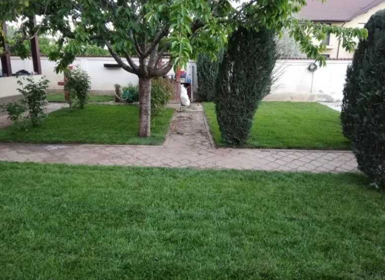 Gazon perfect din prima zi – rulou, irigație, montaj