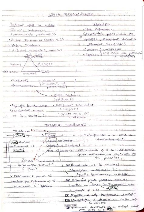 Caiet meditatii romana BAC de 10