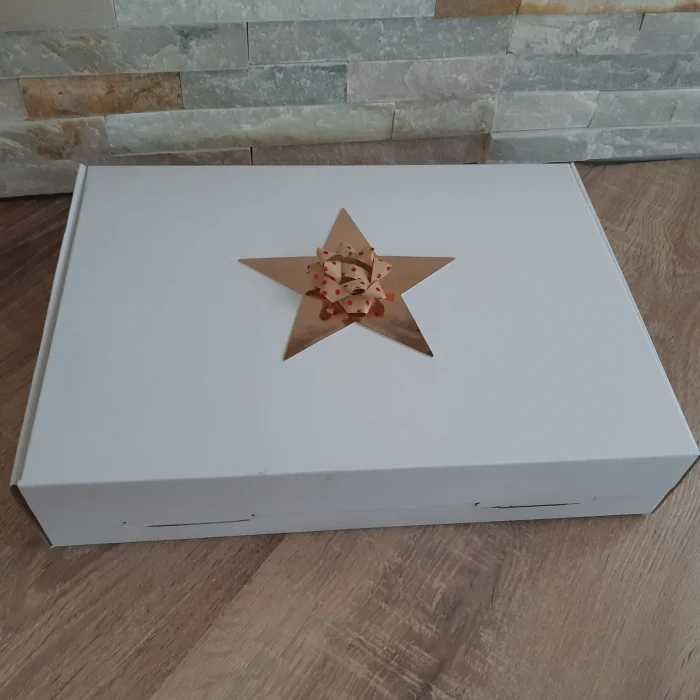 Pachet Cadou cu 25 de Figurine din Ipsos + set culori