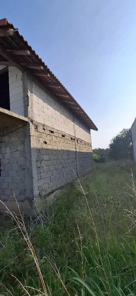 Casa Walter Maracineanu