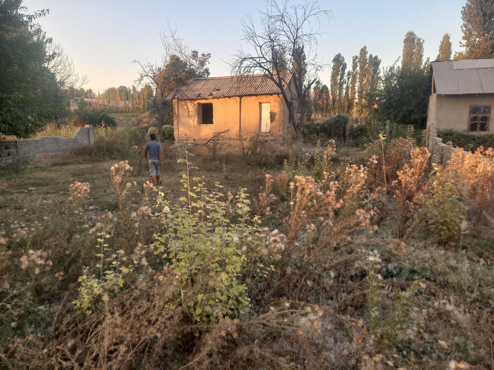 Yangiyol tumani Xalkabot olma uzim bogi