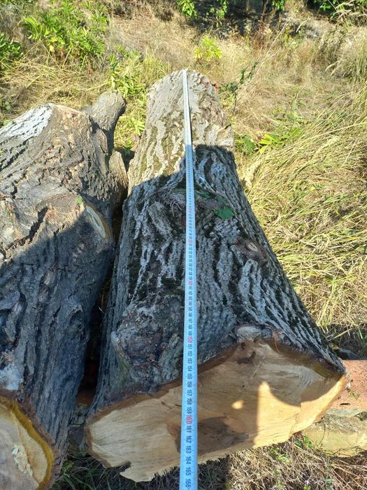 Орех трупи дървен материал