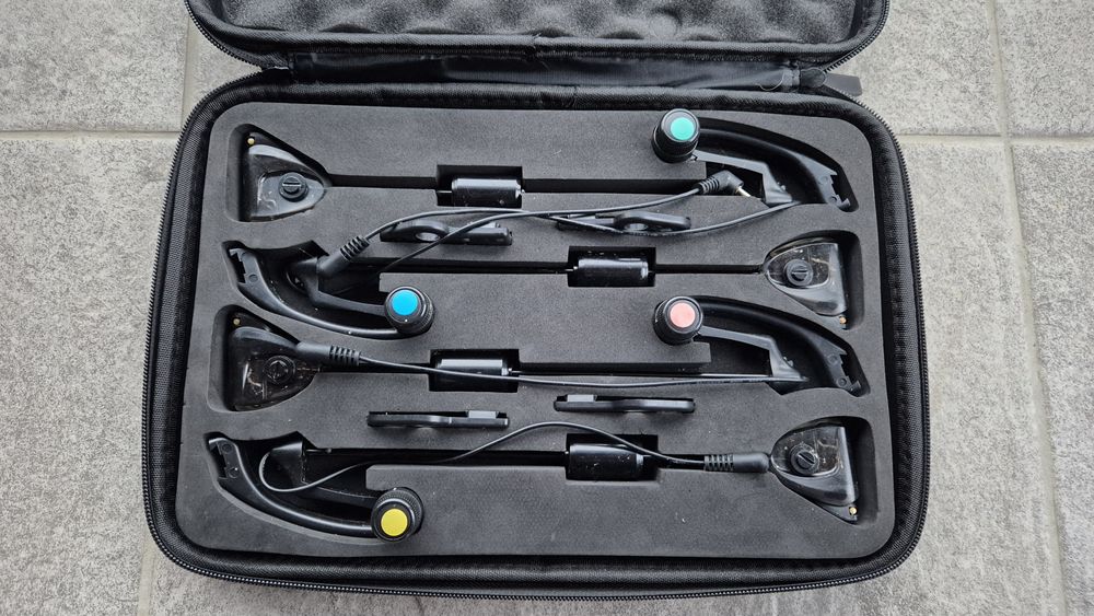 Set 4 swingeri FL
Senzorii function