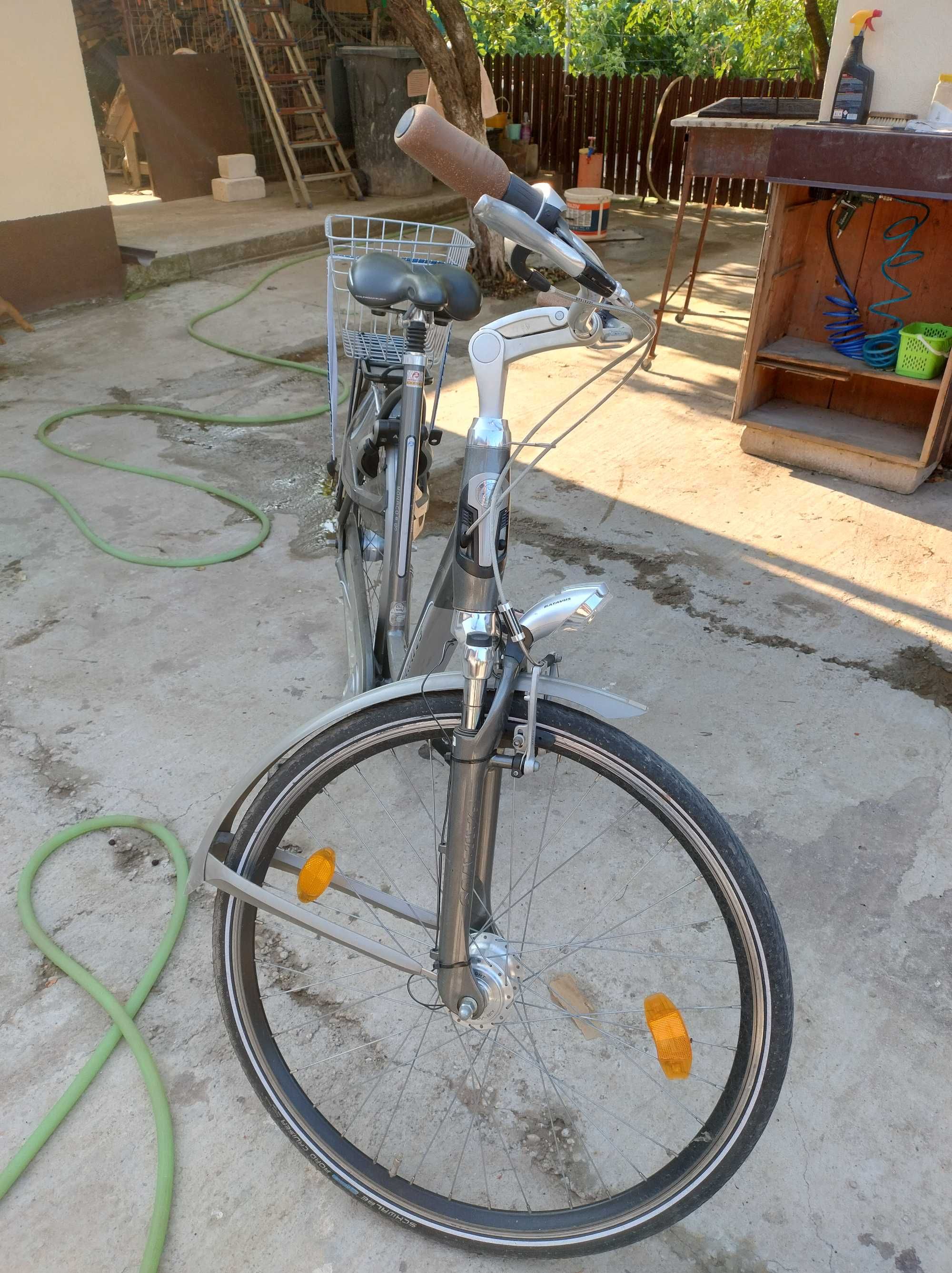 bicicleta batavus