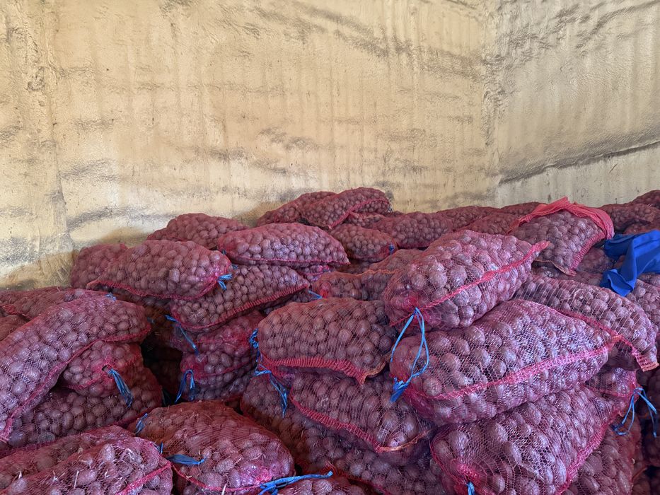 Cartofi de samanta sau animale