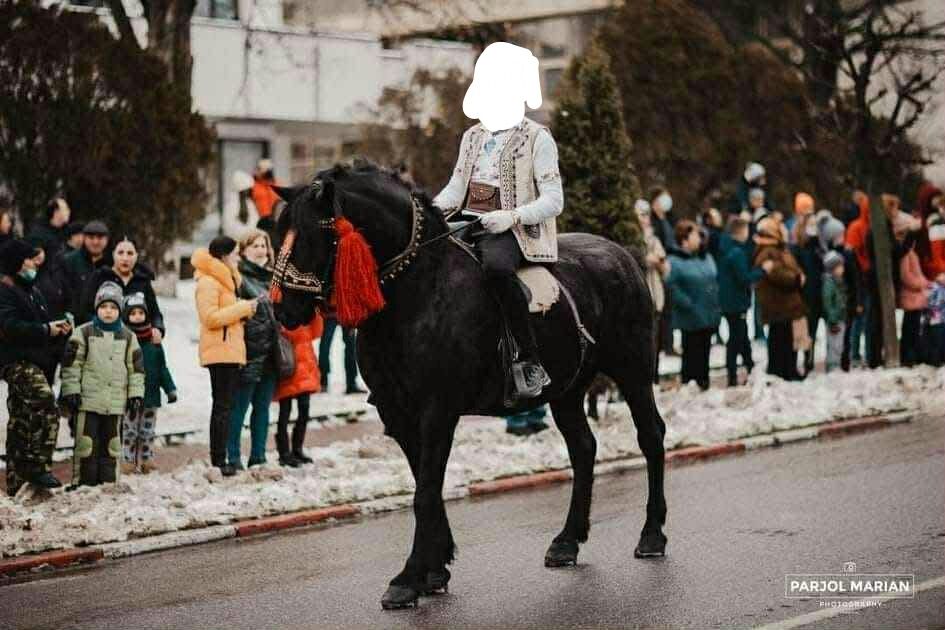 Vând cal de 5.6 ani