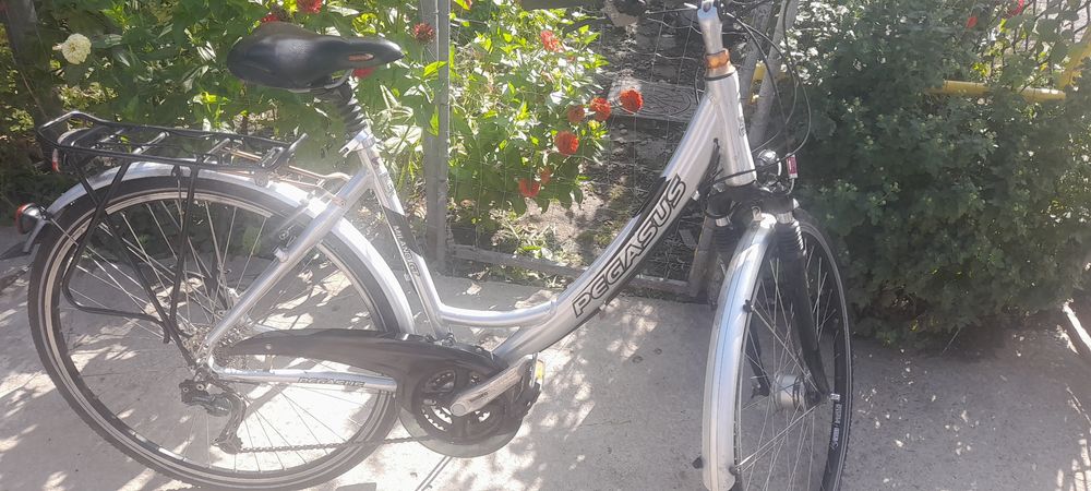 Bicicleta dama pegasus