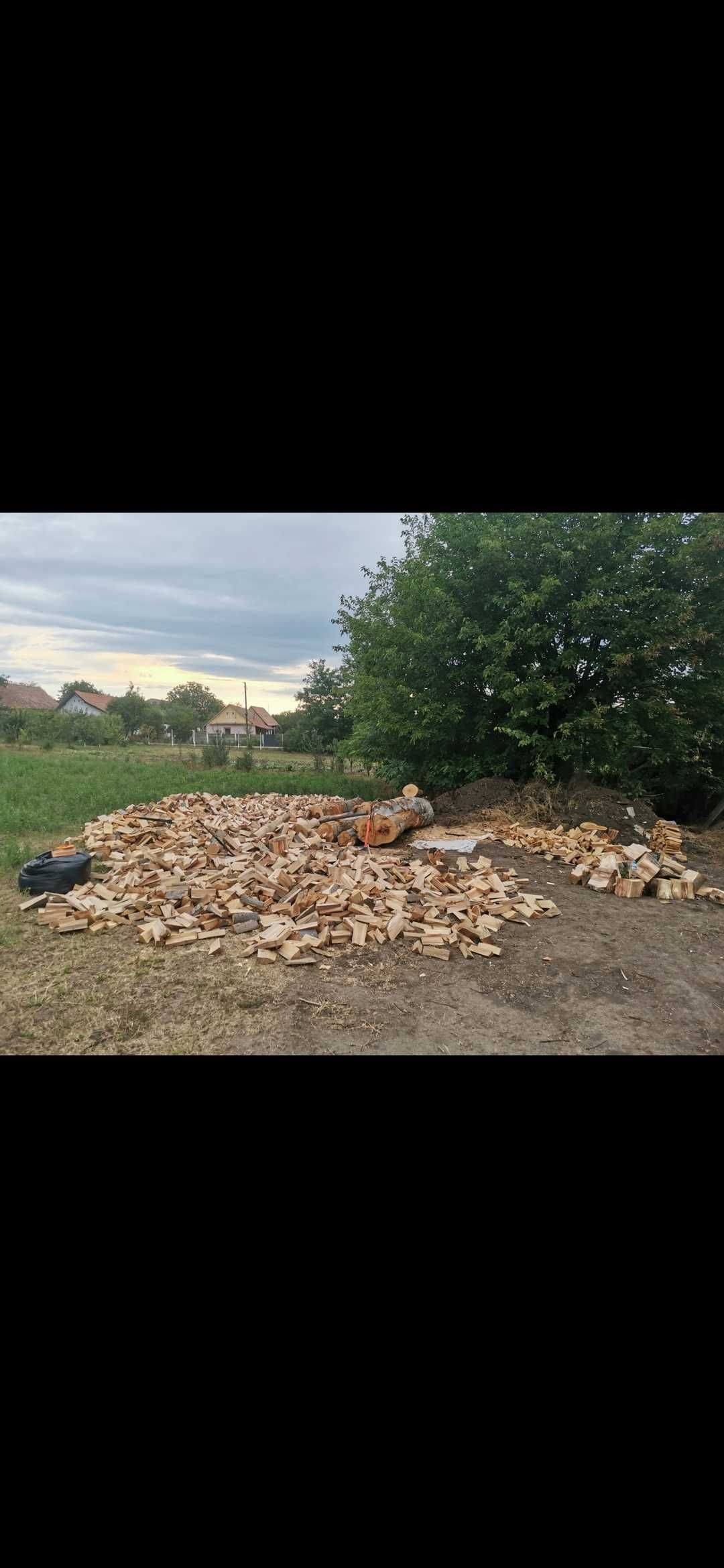 Tai si despic lemne de foc