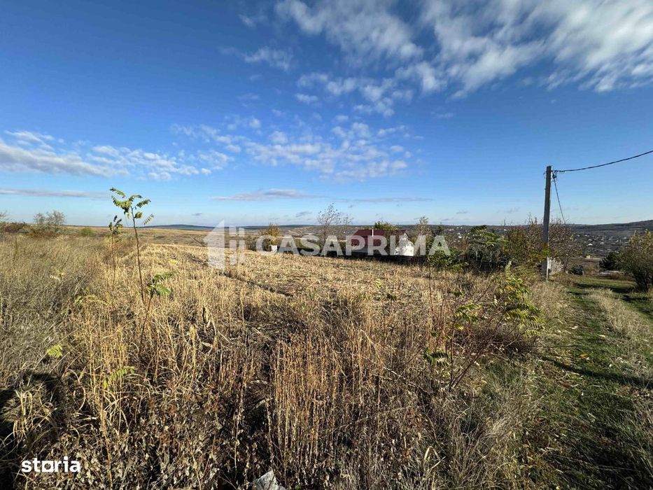 Teren 3000 mp, Sorogari - Aroneanu, ideal investitie, parcelat