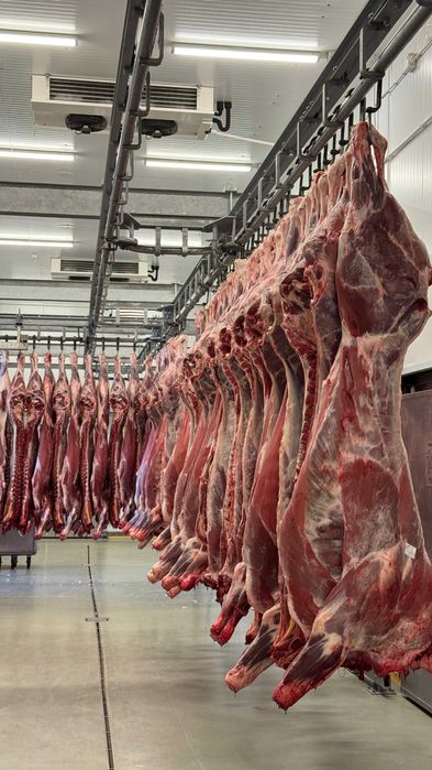 Мясная продукция, баранина конина, халал говядина