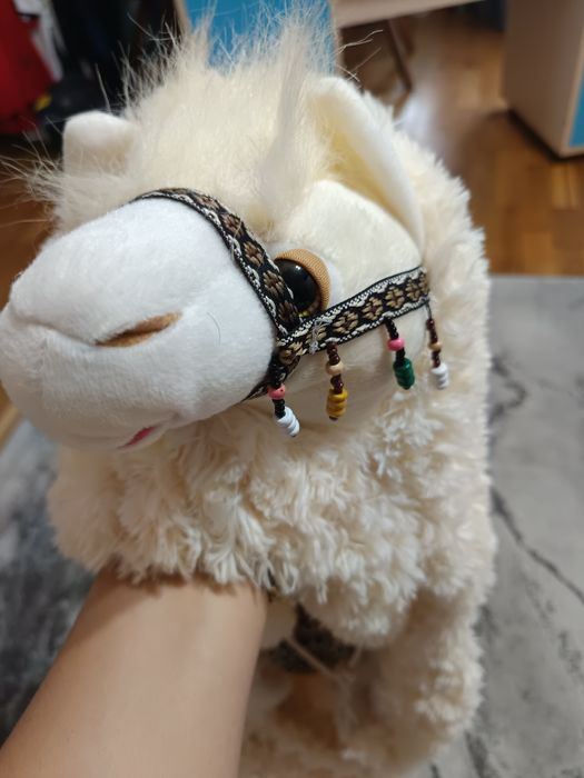 Vând cojoc lamă superb