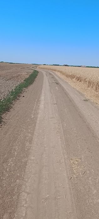Vând teren  20.0000 mp lângă pădure și baltă